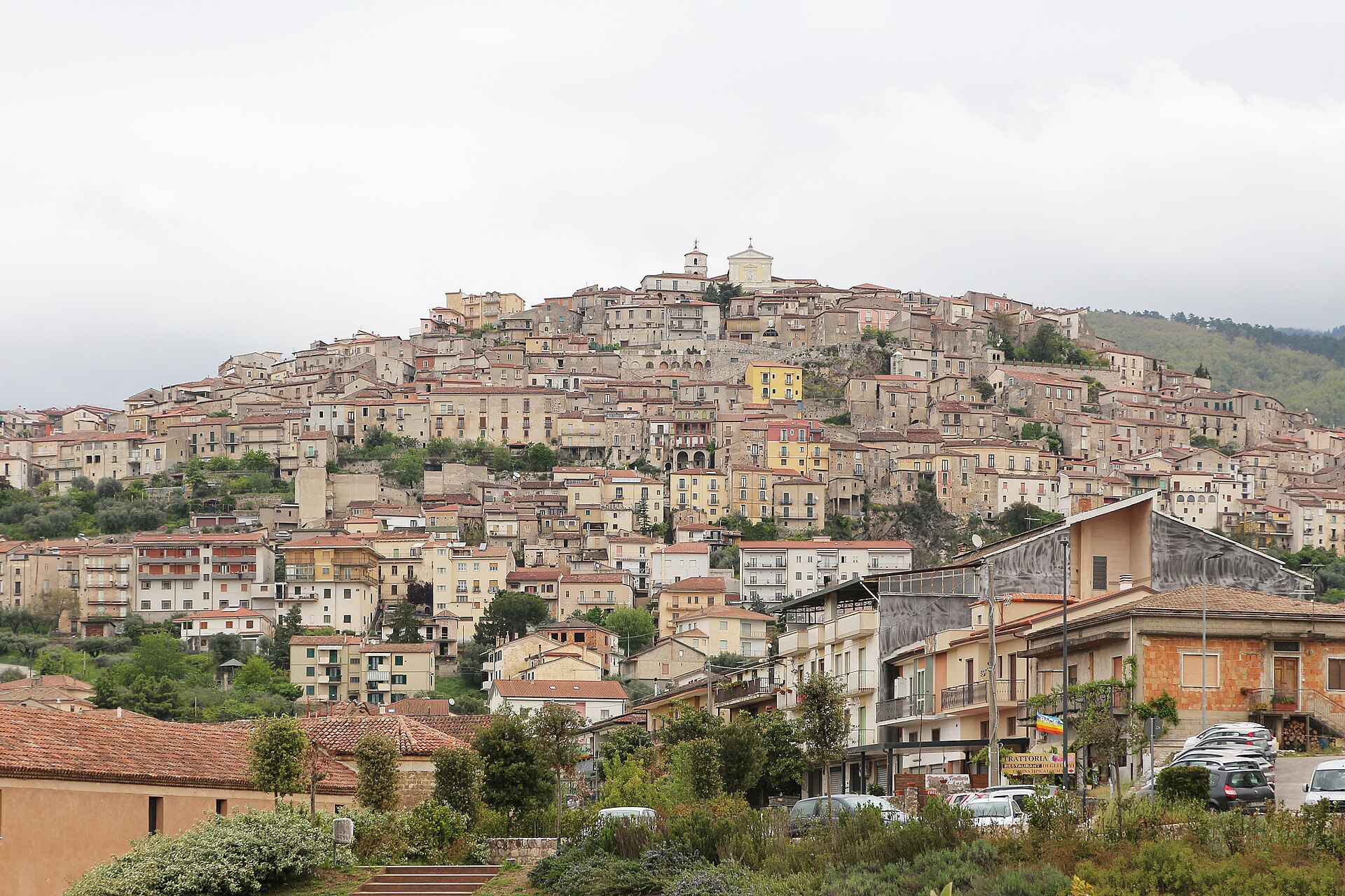 Houses and terraces of Padula seen close up.